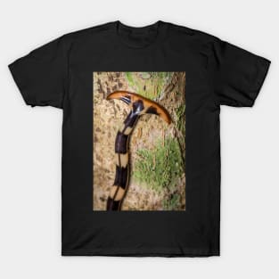 Unique and organic photo of a hammerhead flatworm T-Shirt